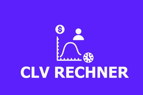 Customer Lifetime Value Rechner